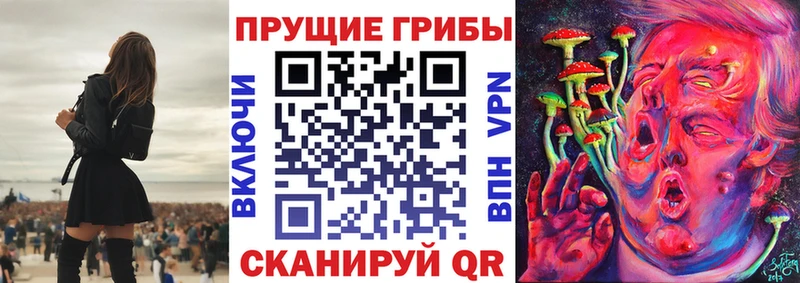 Галлюциногенные грибы Magic Shrooms  shop Telegram  ОМГ ОМГ как войти  Верхняя Салда  где можно купить  